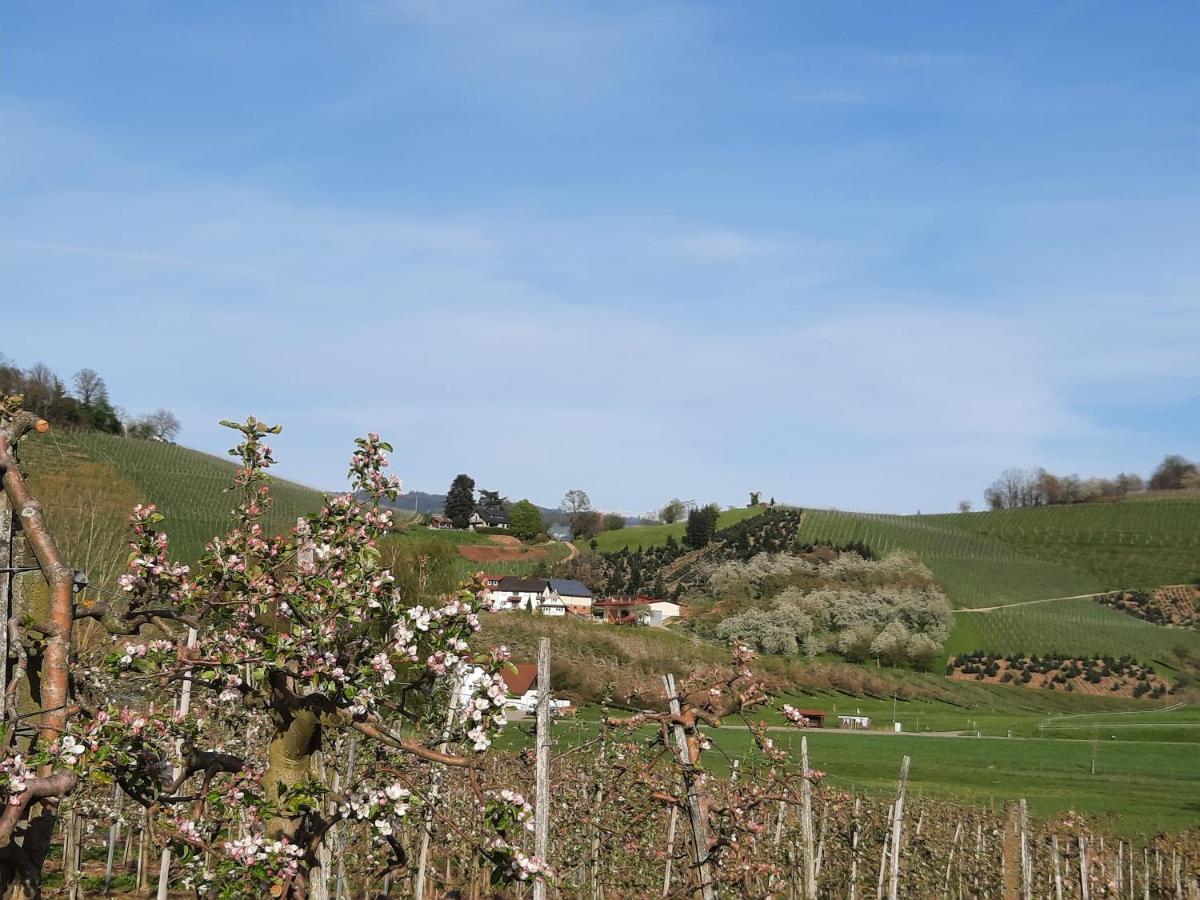 Ferienwohnung Am Weinberg Oberkirch  Εξωτερικό φωτογραφία