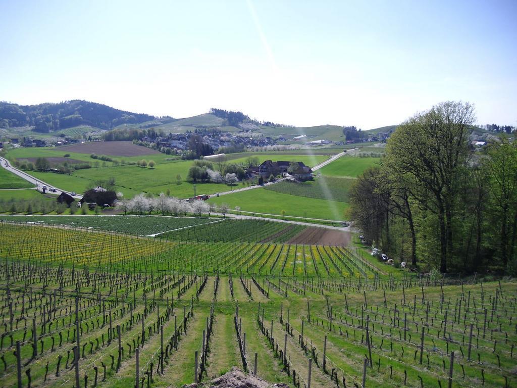 Ferienwohnung Am Weinberg Oberkirch  Εξωτερικό φωτογραφία